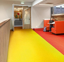 Forbo Modul'up compact material 235UP43C lemon canyon фото 3 | FLOORDEALER